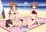 BUY NEW the melancholy of haruhi suzumiya - 118390 Premium Anime Print Poster